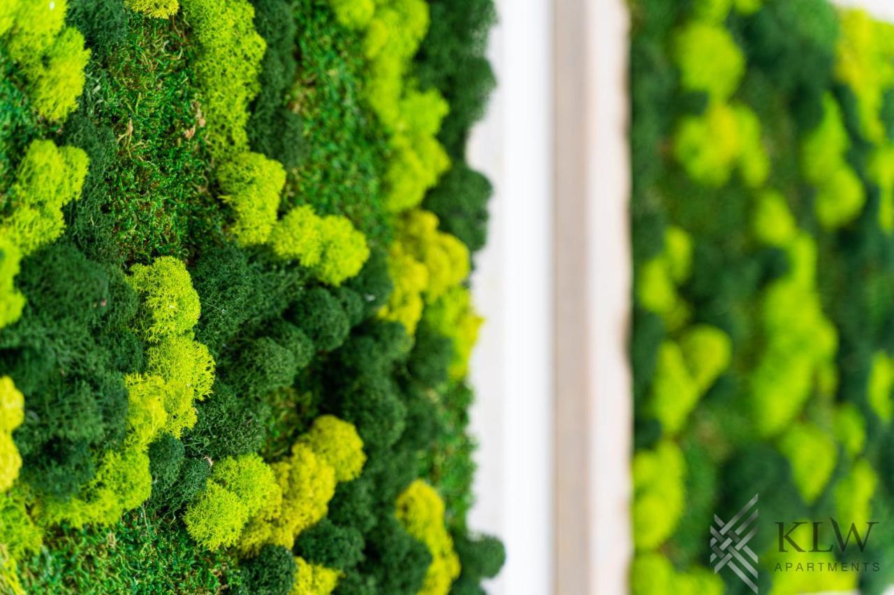 Klw Apartments Garden Centrum - Klimatyzacja Szczecin Kültér fotó
